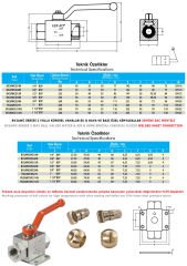1/2” BSP Hidrolik 2-Yollu Küresel Vana